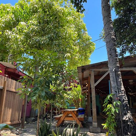 Banana Bungalow Maui Hostel Wailuku Exterior foto
