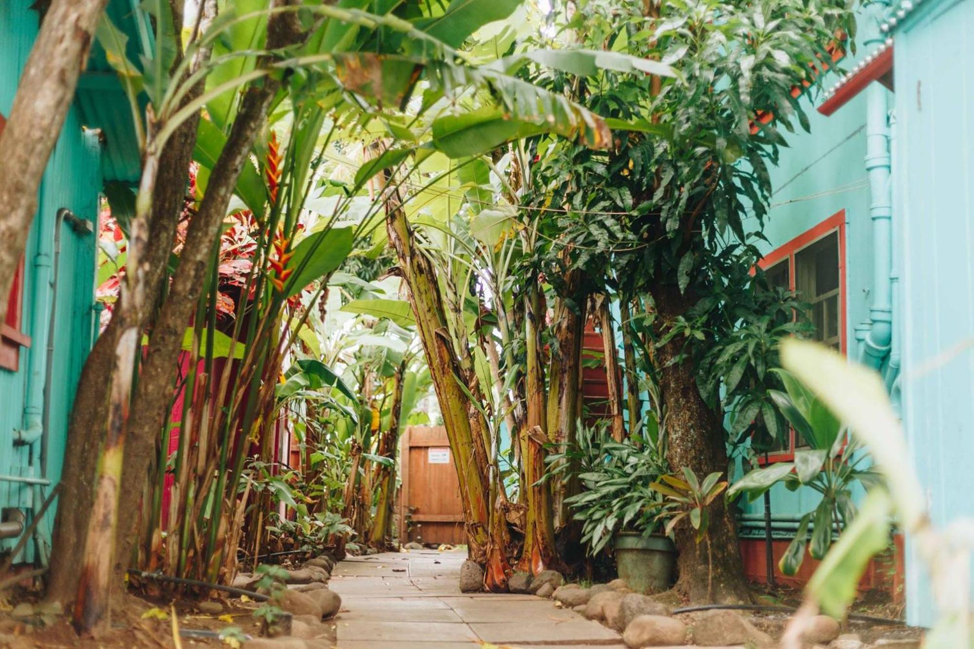 Banana Bungalow Maui Hostel Wailuku Exterior foto