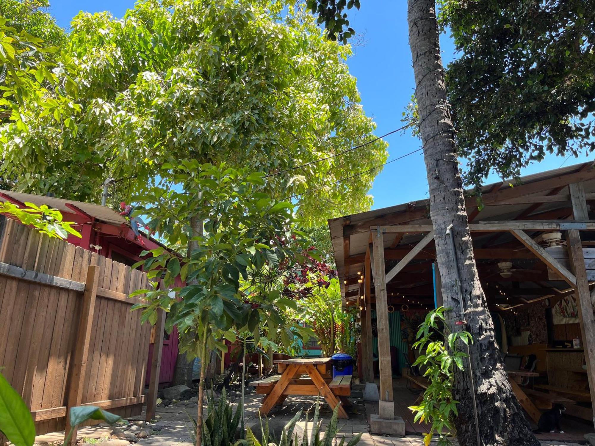 Banana Bungalow Maui Hostel Wailuku Exterior foto